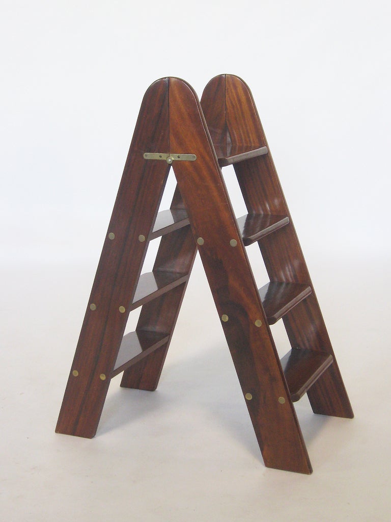ladder for library