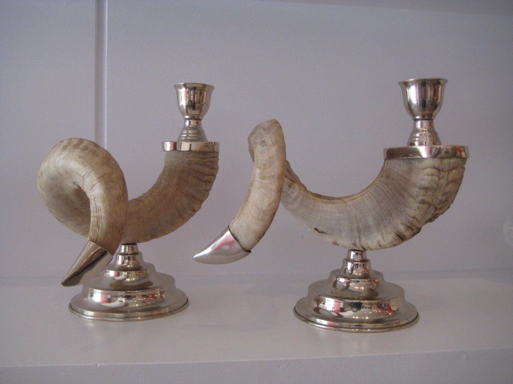 Natural ram's horn with German silver