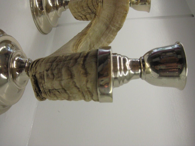 Unknown Pair of Ram's Horn Candlesticks