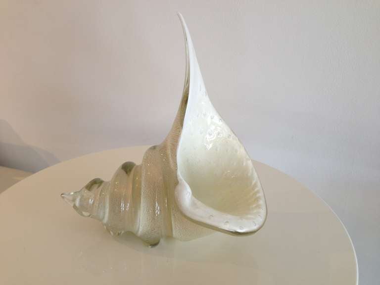Barbini Conch Shell Bowl