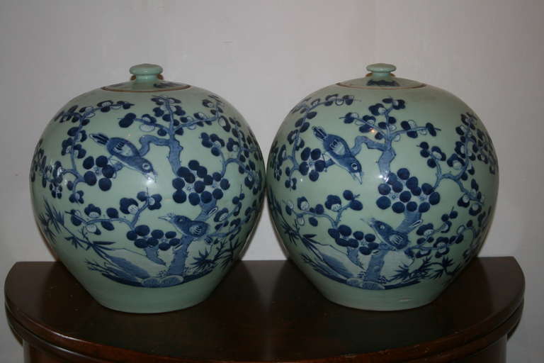 Pair of celadon and blue lidded melon jars with cherry blossoms and birds. 

