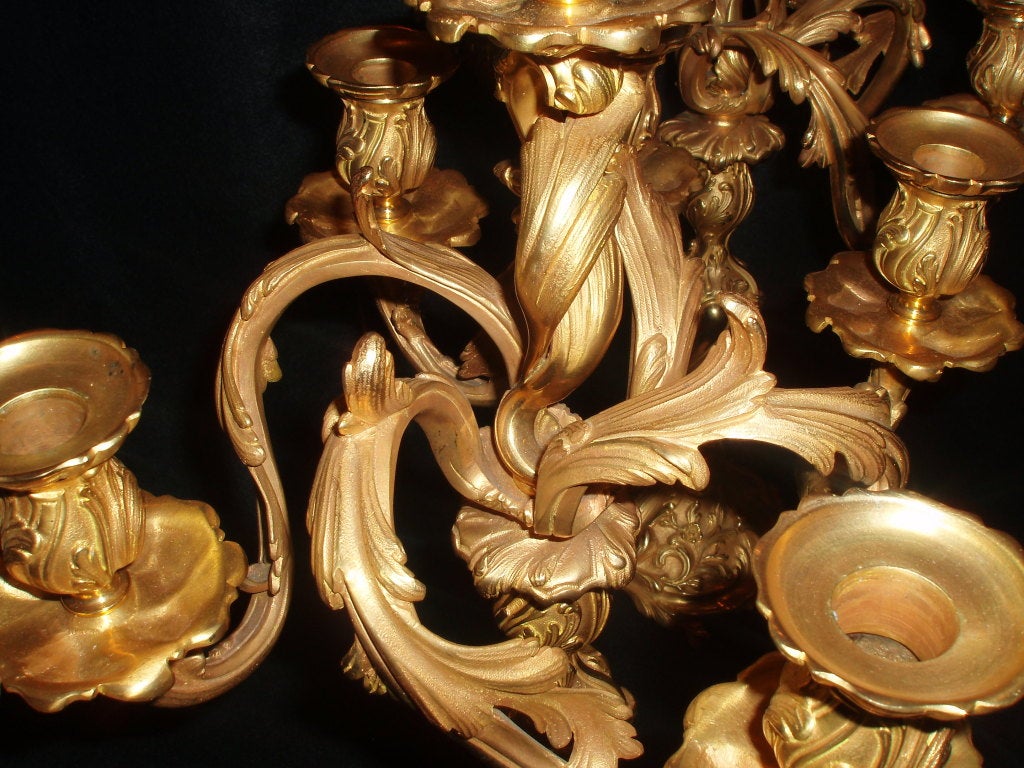 Pair of Bronze Doré Candelabras For Sale 3