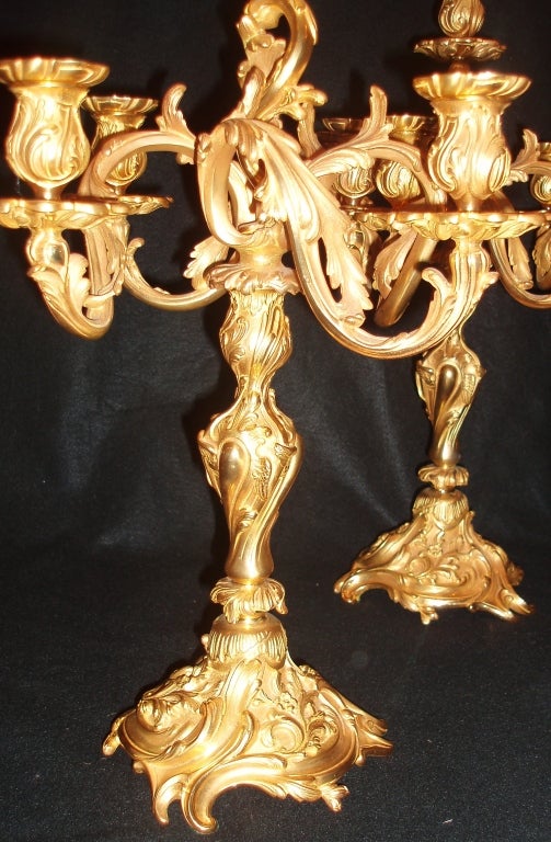 Régence Pair of Bronze Doré Candelabras For Sale