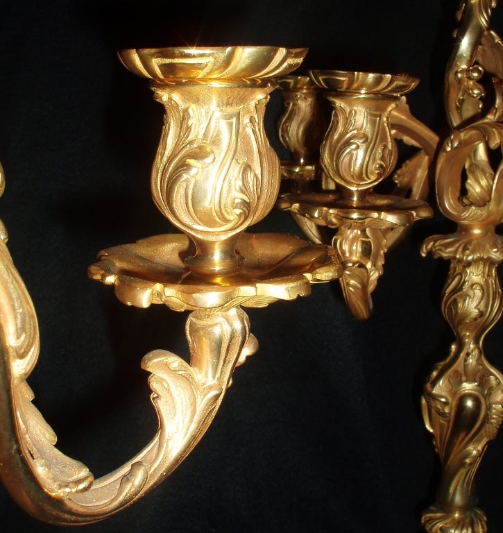 Français Paire de candélabres Dor en bronze en vente