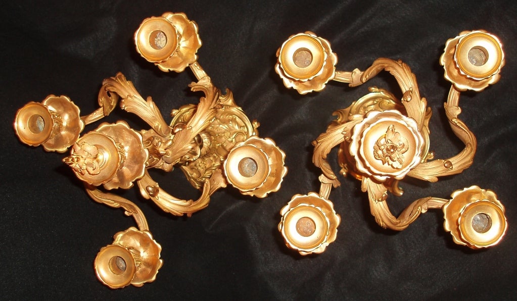 Pair of Bronze Doré Candelabras For Sale 1
