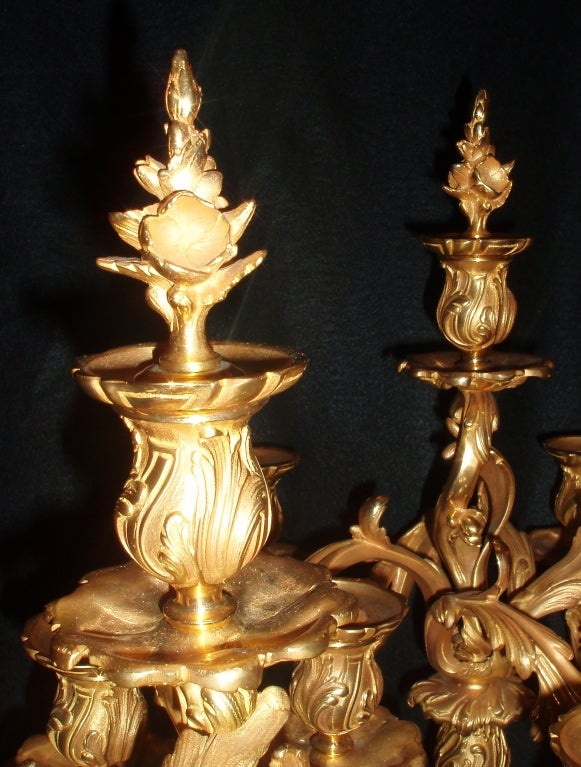 Pair of Bronze Doré Candelabras For Sale 2