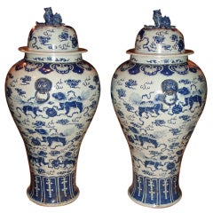 Monumental Pair of Blue & White Lidded Jars