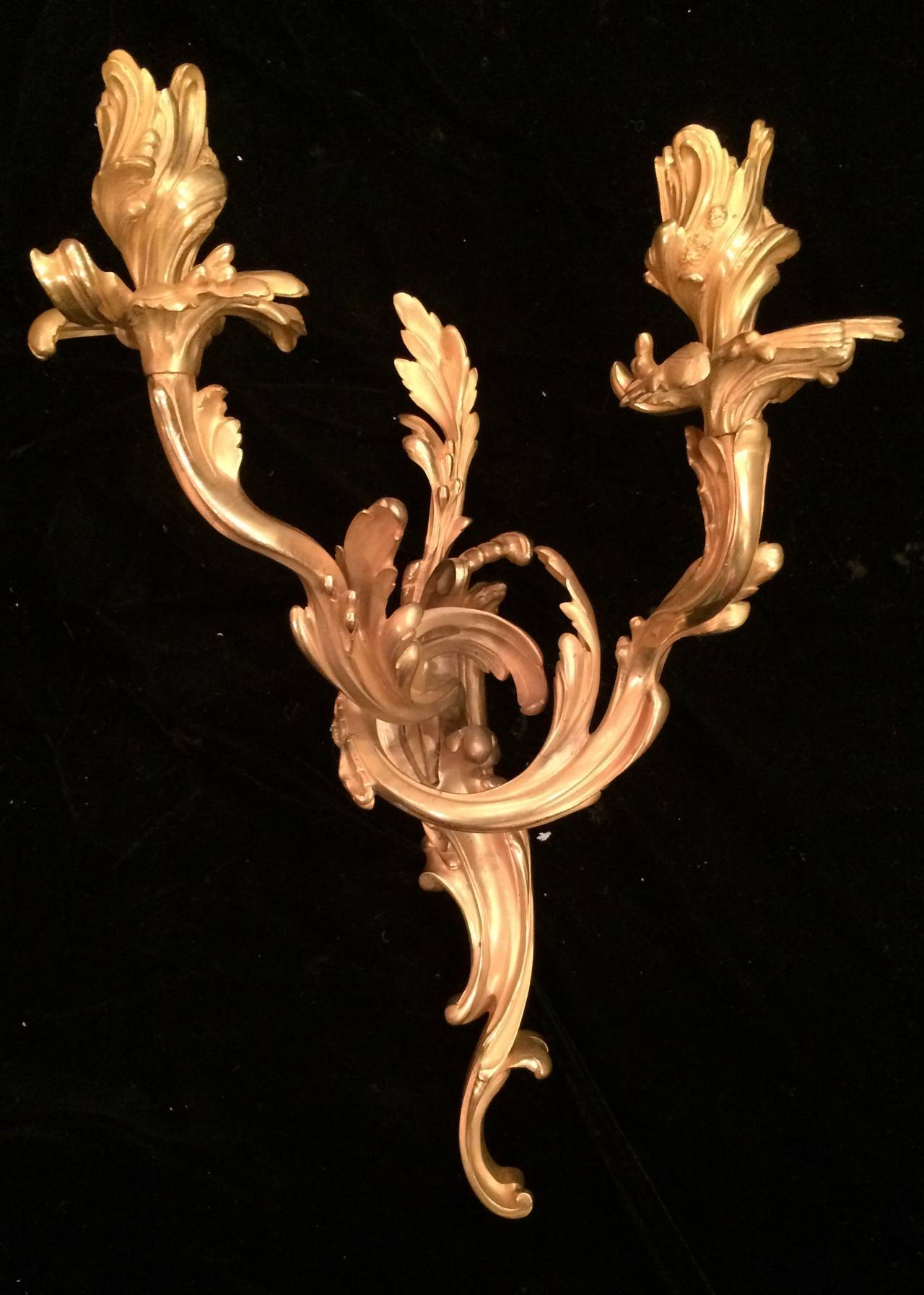 Exceptional pair of Louis XV bronze doré two-light appliques, 19th century.