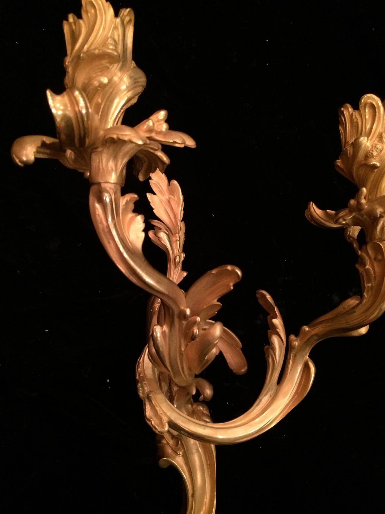 Pair of Louis XV Bronze Doré French Two-Light Appliques Sconces 1