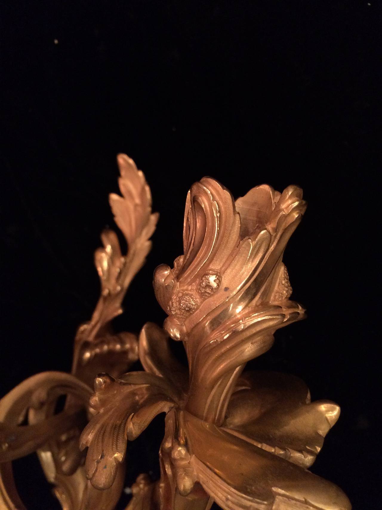 Pair of Louis XV Bronze Doré French Two-Light Appliques Sconces In Good Condition In Palm Beach, FL