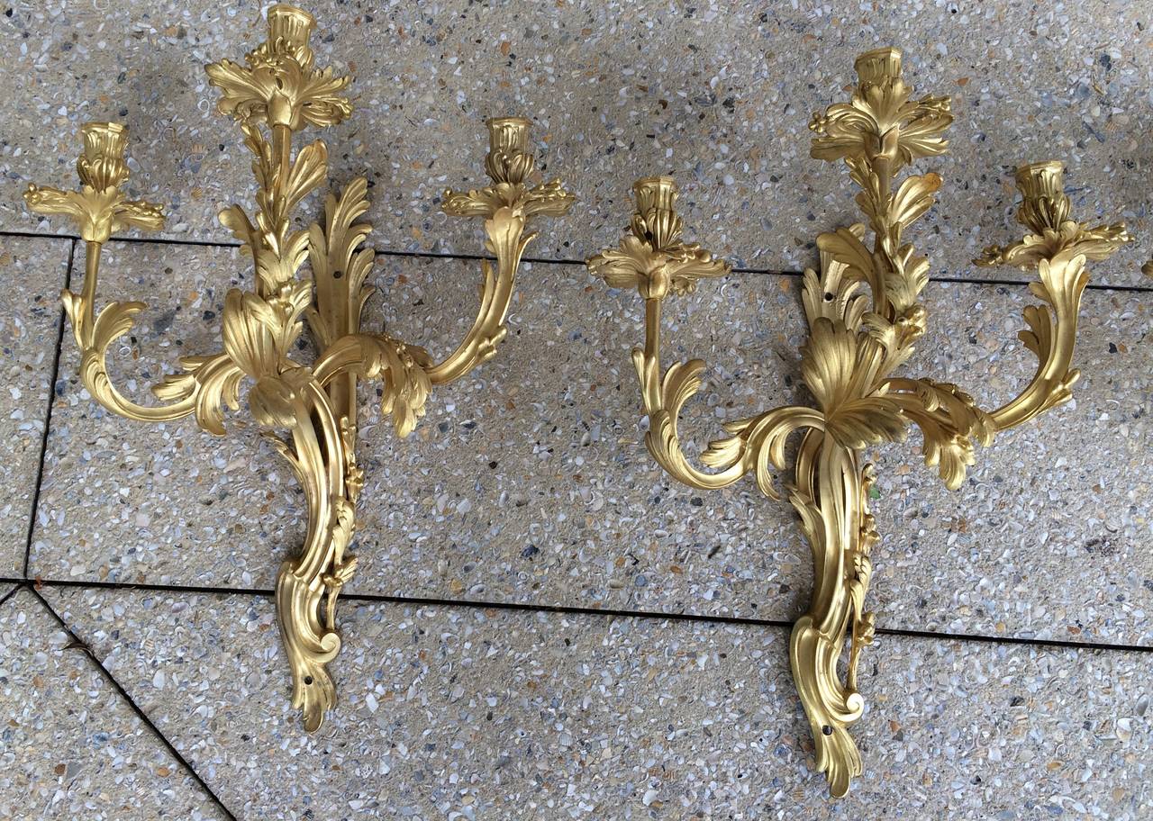Set of two fine bronze dore´ Louis XV style appliques, each with a superb acanthus cast back-plate with three scrolled candle arms featuring drip pans.