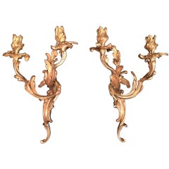 Pair of Louis XV Bronze Doré French Two-Light Appliques Sconces