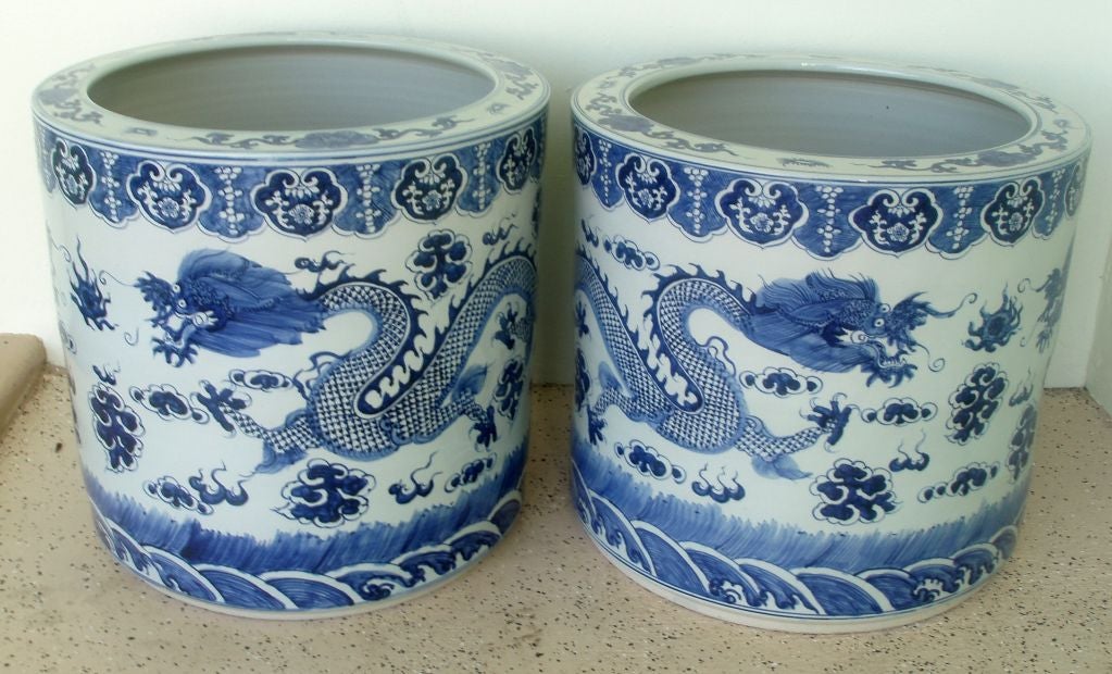 Incroyable paire d'arcs de poisson à motif dragon