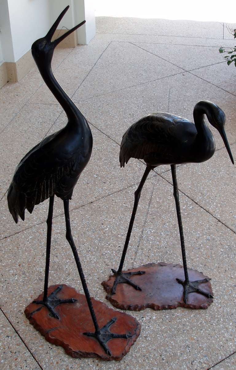Handsome pair of life-sized, Meiji period (1868-1912), wading cranes realistically sculpted of patinated bronze with naturalistic bodies, featuring detailed feather plumes, ridged legs and webbed feet, both standing erect, one with neck raised and