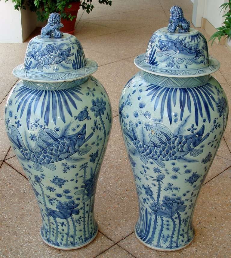 Charming pair of blue and white Chinese export porcelain lidded temple jars, tall baluster forms decorated with various fish and floral designs, with sculpted seated Foo lion finials on large circular domed lids.
Measures: Heights 44