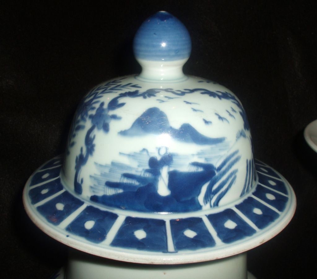Garniture of Blue and White Chinese Porcelain 5