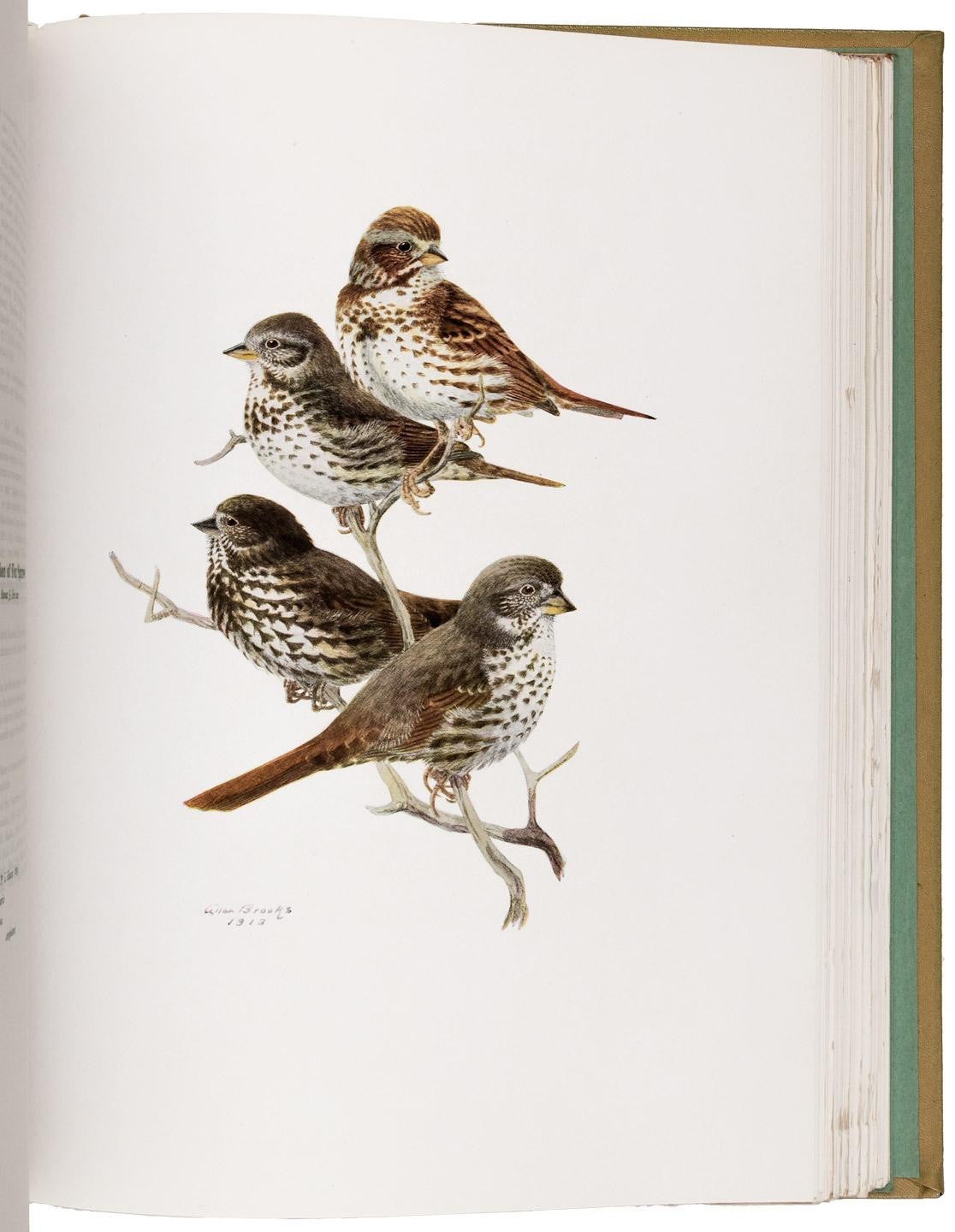 The Birds of California, Four-Volume Limited Edition of 350, circa 1923