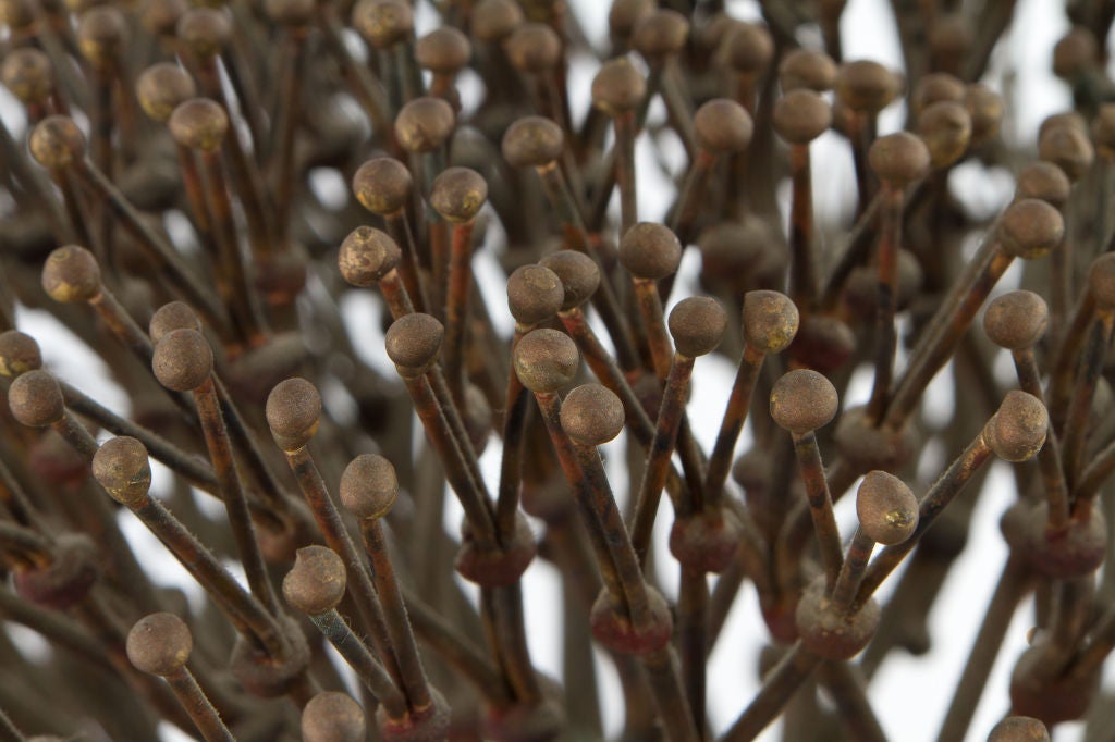 Harry Bertoia Bush sculpture 1