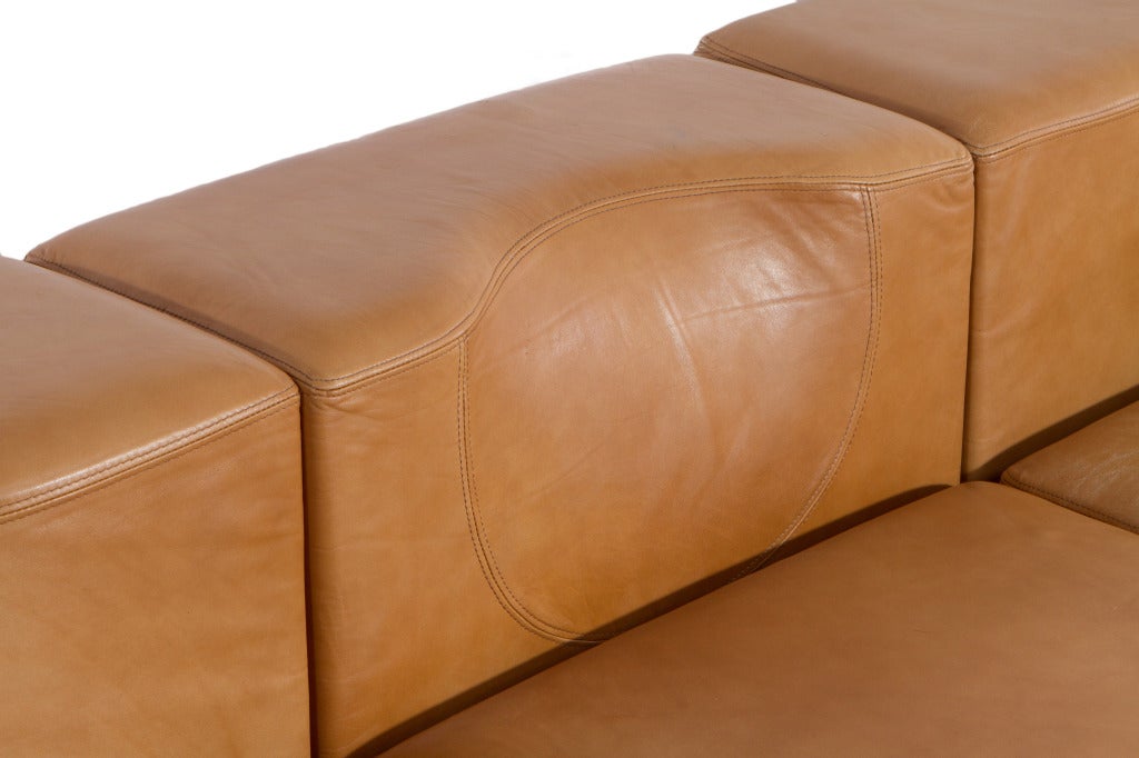 Leather Teorama Sofa By Guido Faleschini for Mariani Pace Collections