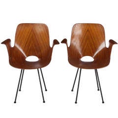 Pair of Medea Rosewood Chairs by Vittorio Nobili