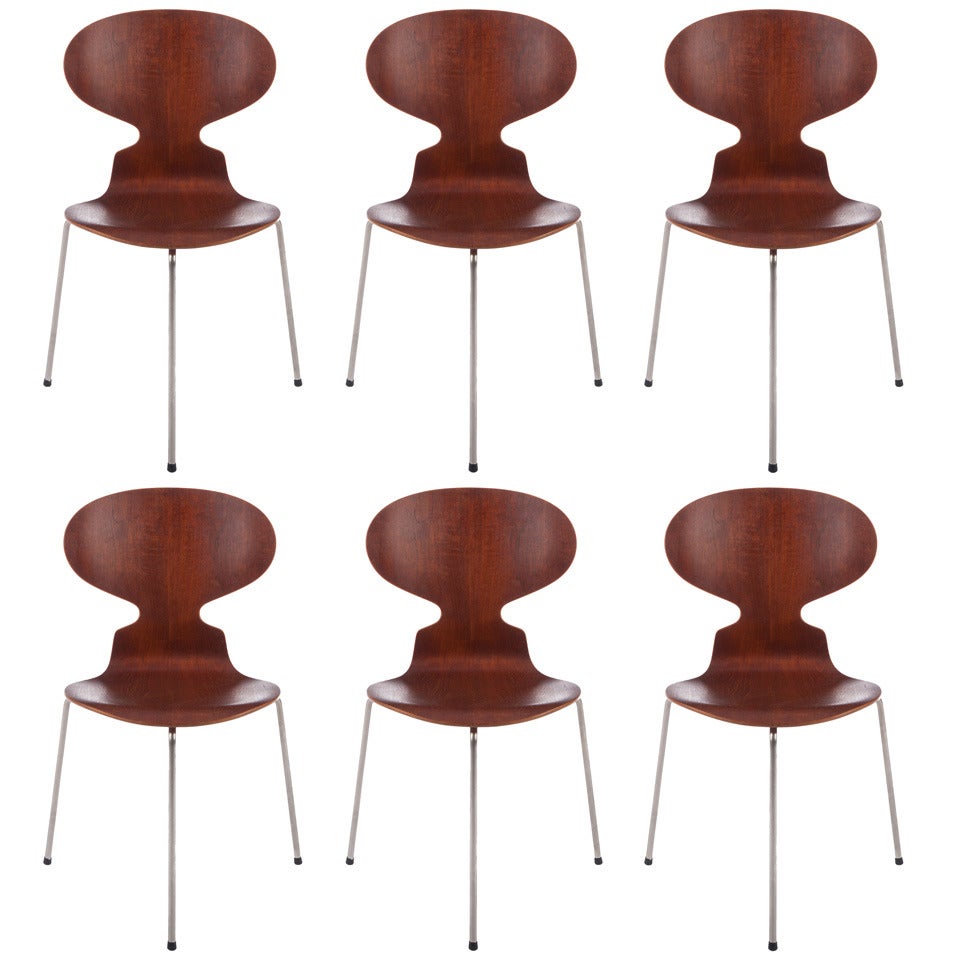 Six chaises fourmis à trois pieds Arne Jacobsen pour Fritz Hansen des débuts