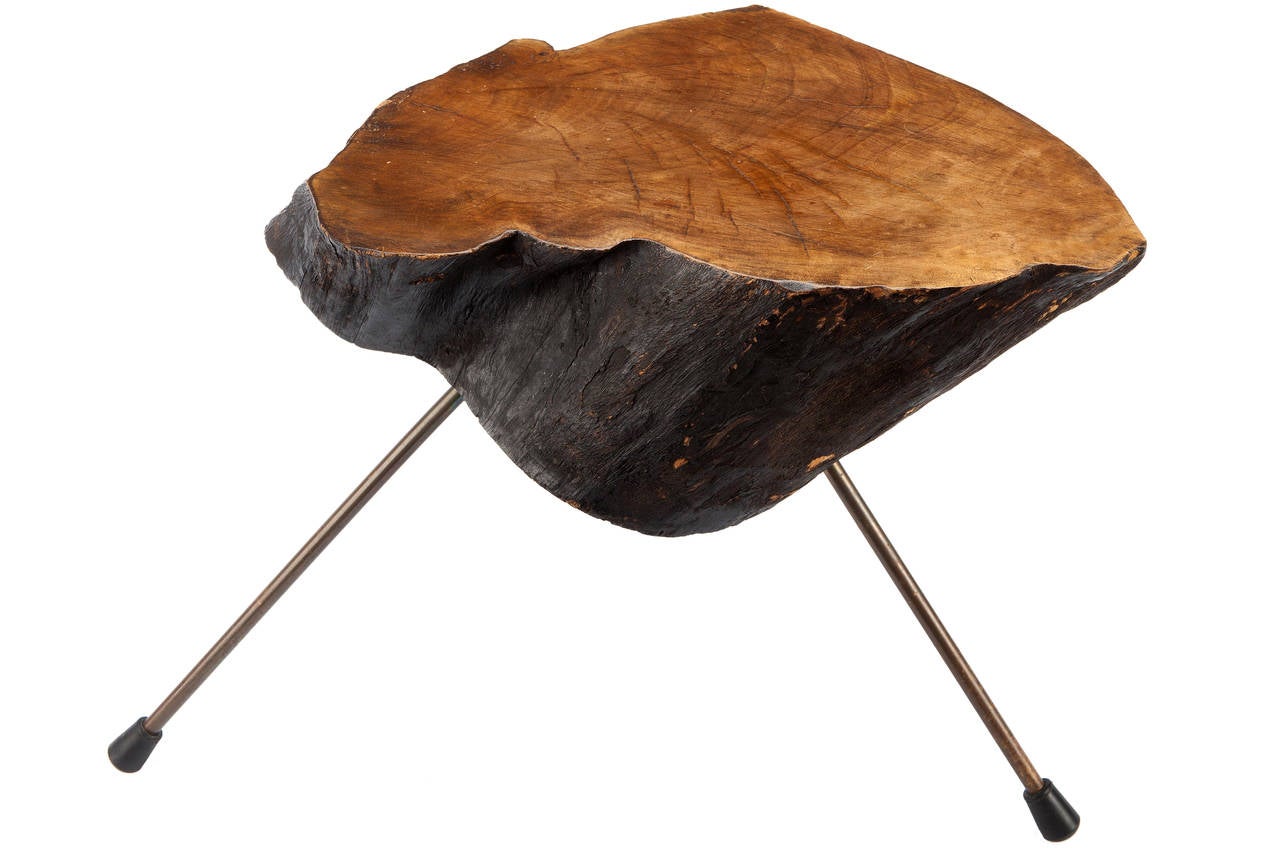 Signed Carl Auböck Tree Trunk Table 1