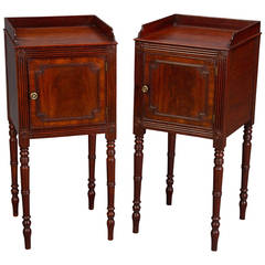 Pair of George III Bedside Cupboards 10