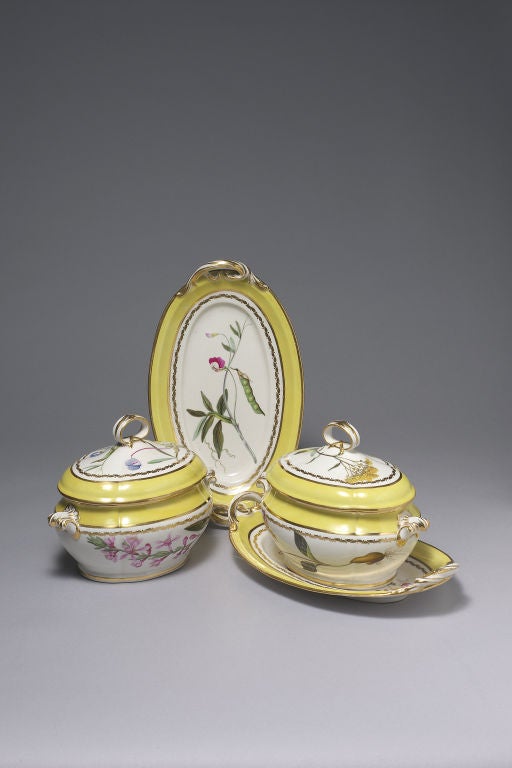 Rare pair of Derby yellow ground saucetureens, covers and stands