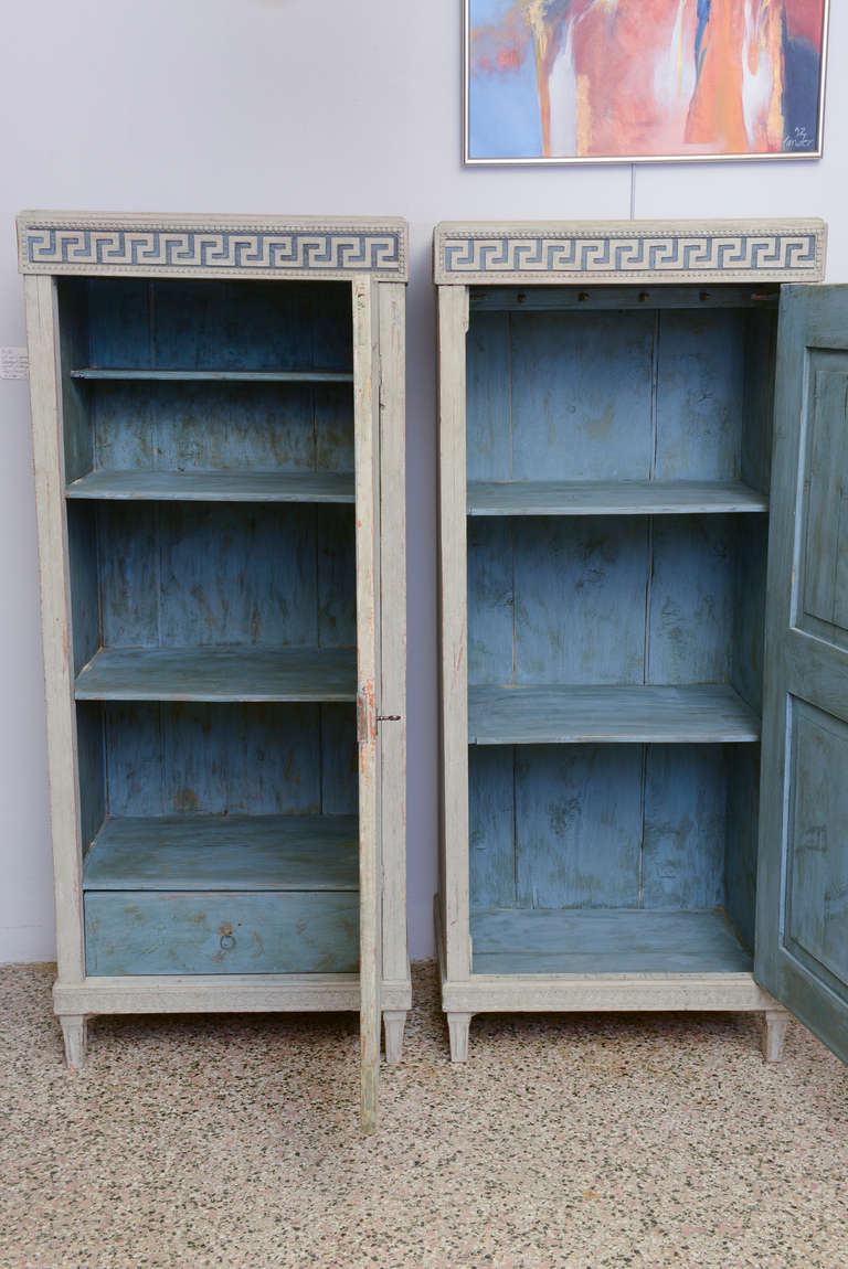Pair of 19th Century Antique, Late Gustavian Cabinets 6
