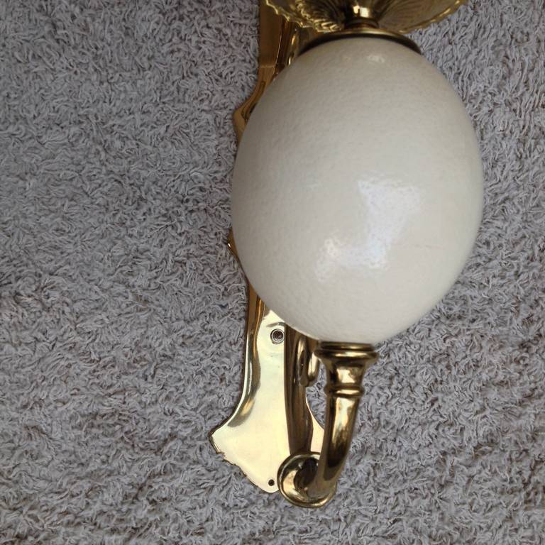 Pair of Brass Ostrich Egg Wall Sconces, 1990 For Sale 4