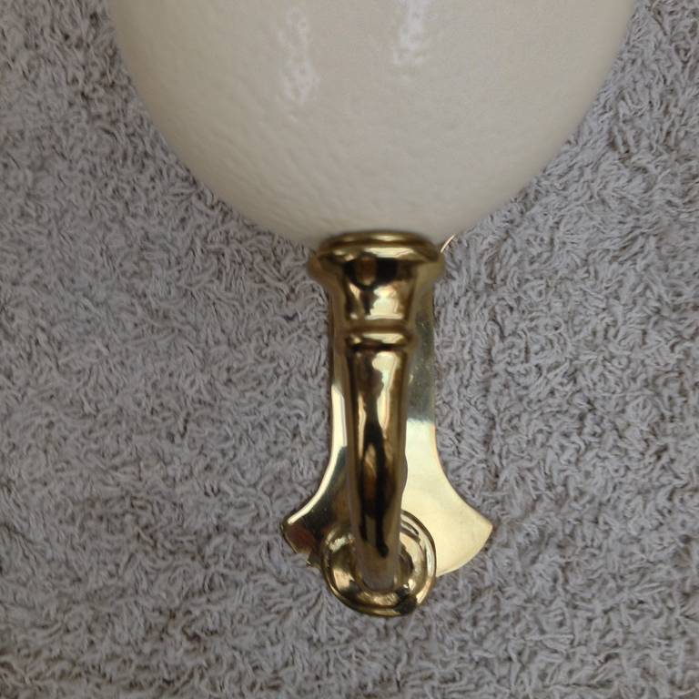 Pair of Brass Ostrich Egg Wall Sconces, 1990 For Sale 3