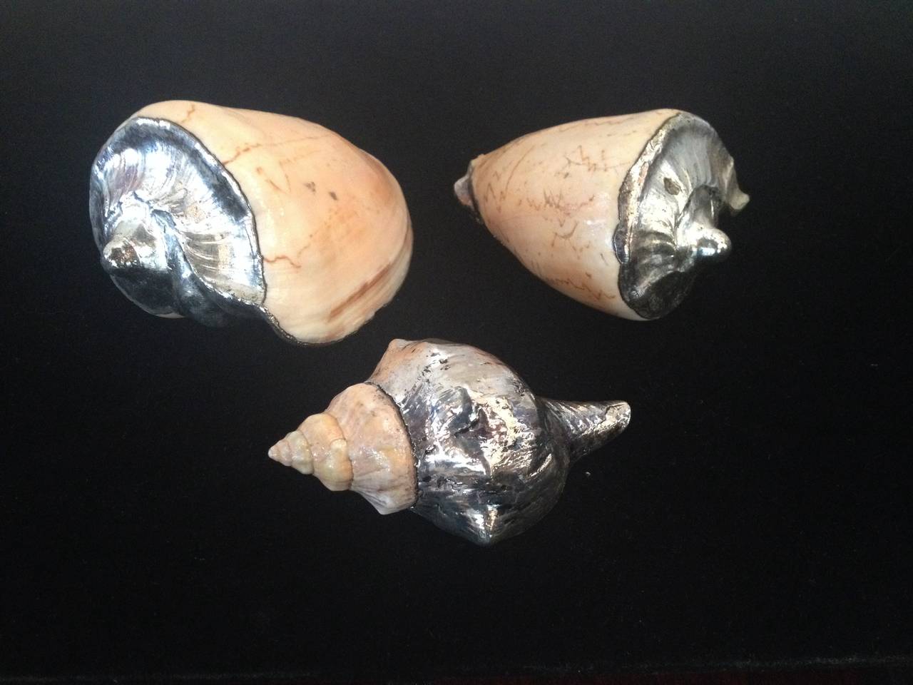 Spanish Sterling Silver Decorated Conch Shells