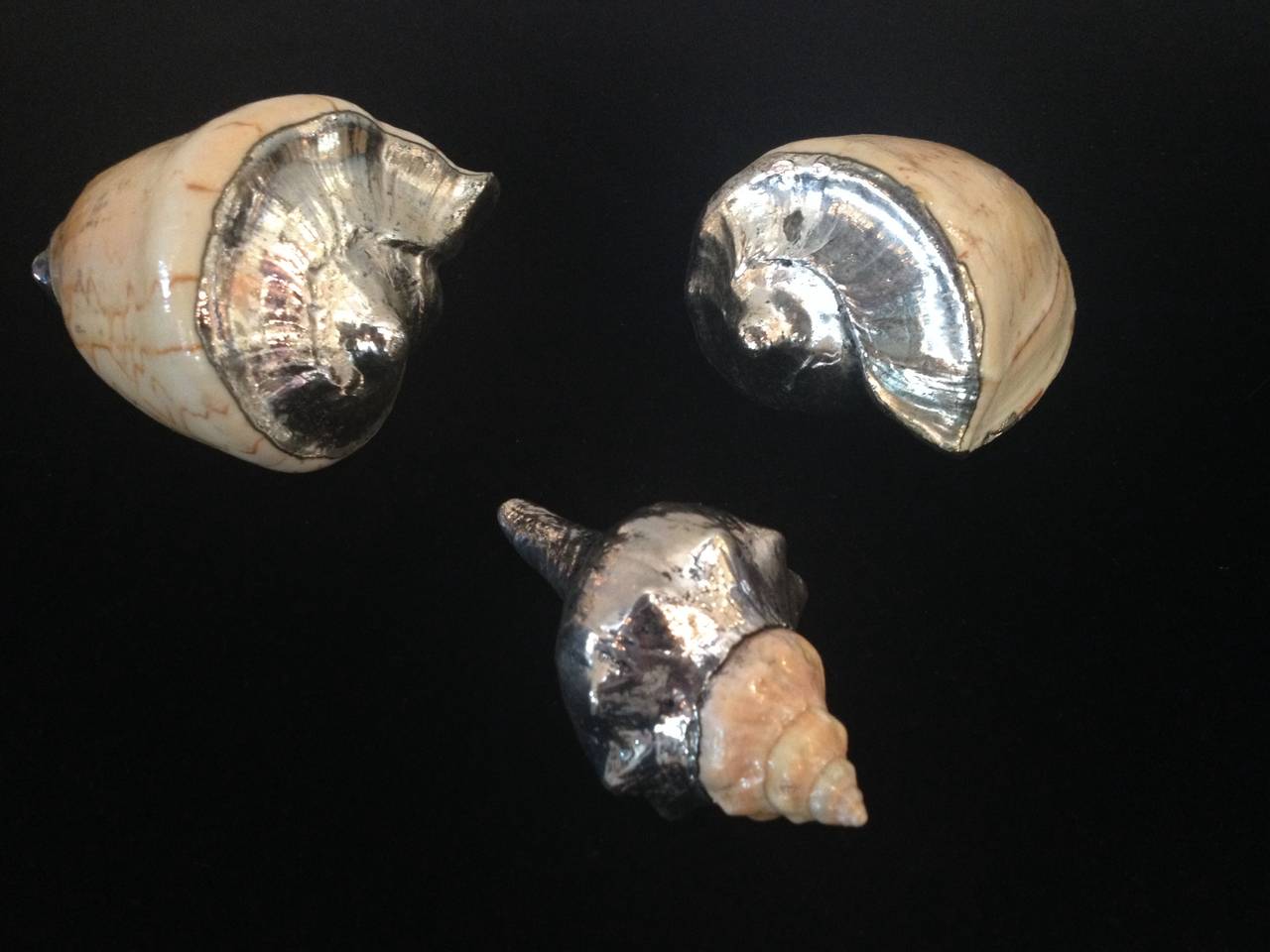 Sterling Silver Decorated Conch Shells In Excellent Condition In Westport, CT