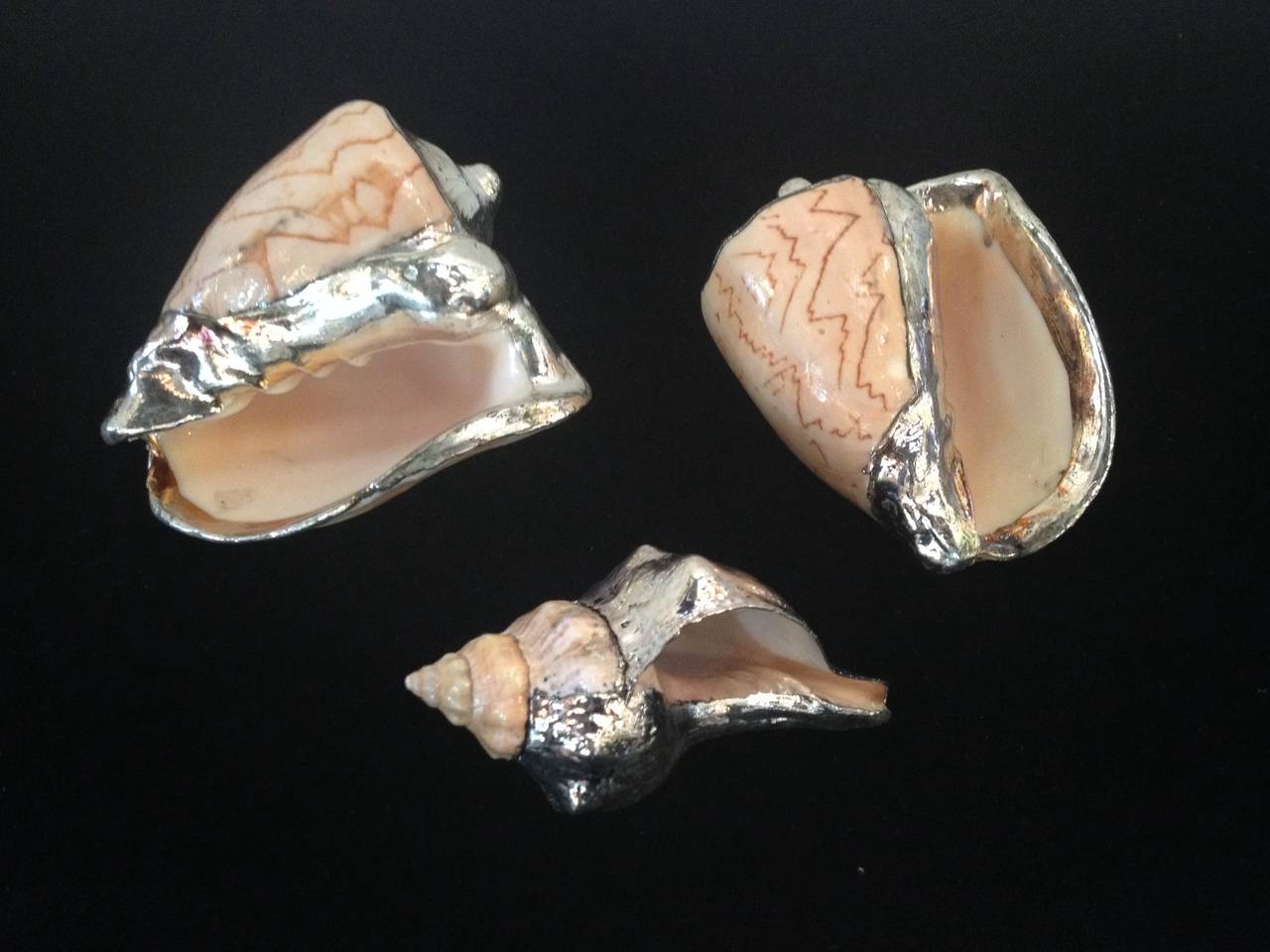 20th Century Sterling Silver Decorated Conch Shells