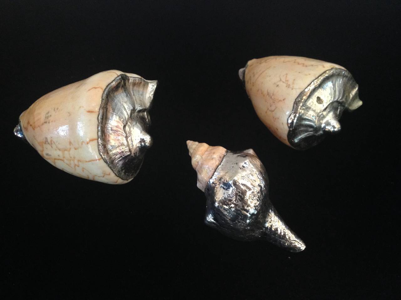 Sterling Silver Decorated Conch Shells 1