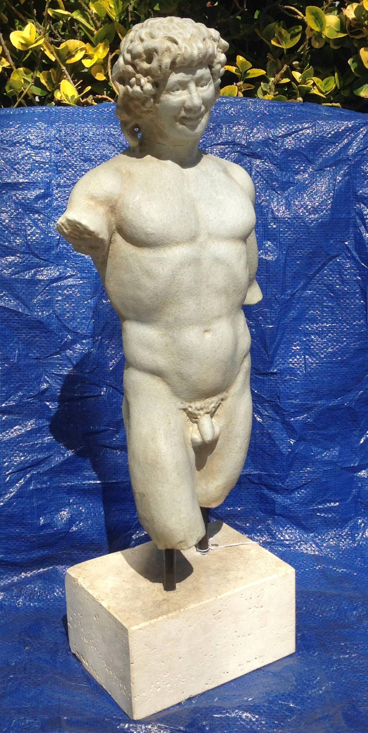 19th Century Marble Torso of Neoclassical Figure