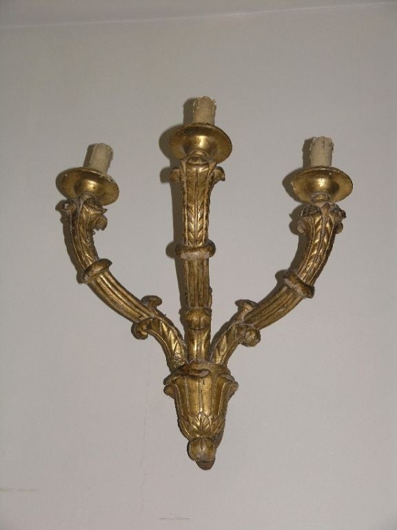 italian Gilt Wood Wall Scounce