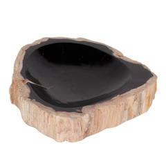 Organic Large Petrified Wood Bowl