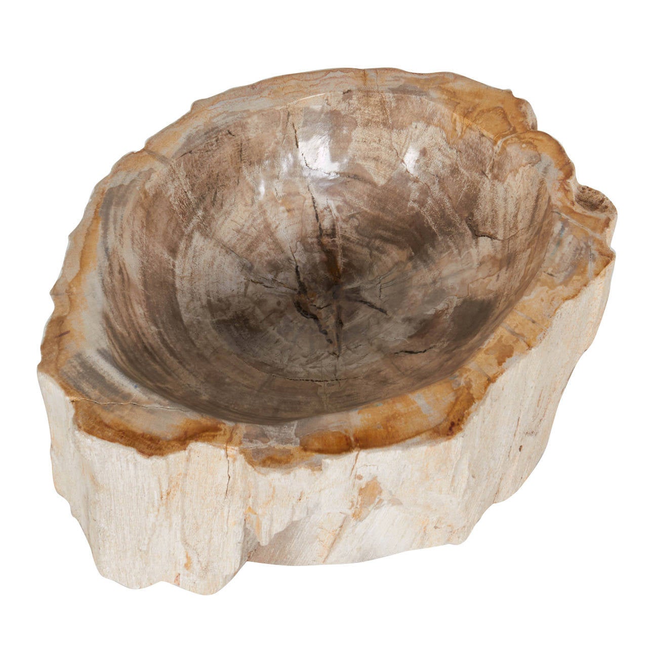 Rare Organic Petrified Wood Large Bowl or Sink
