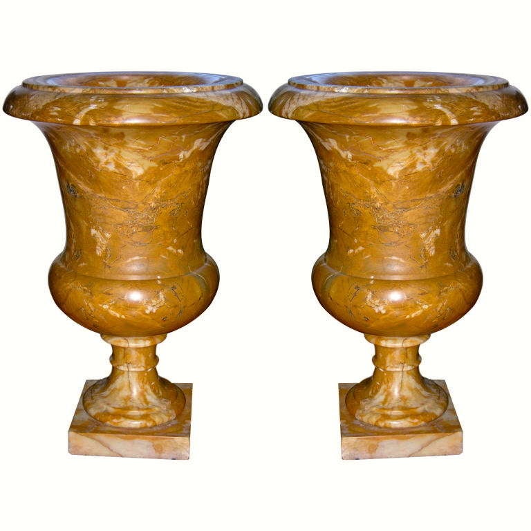 Italian pair of Medici majestic urns / plant holders in a precious marble from Siena in Tuscany called 