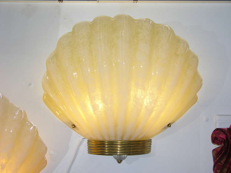 Stunning oversized, ribbed sea shell-shaped wall lights in a high quality warm blown Pearl Murano glass worked with the Scavo technique on reverse that gives them the appearance of excavated stone. The glass bodies acquire a lovely marble tone when