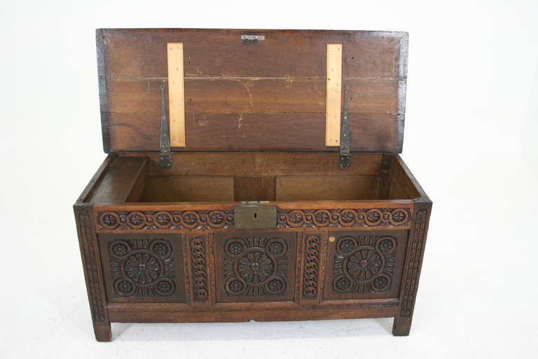 Antique Scottish 17th Century Carved Oak Coffer, Trunk or Blanket Box 2