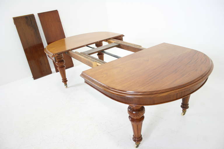19th Century Antique Scottish Victorian Mahogany Oval Dining Table with Two Leaves, 1870