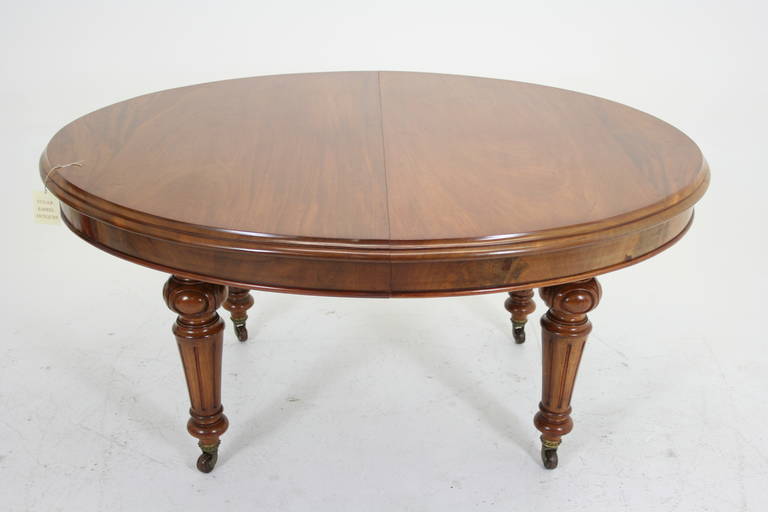 - $2850
 - Scotland, 1870 
 - Victorian 
 - Solid mahogany 
 - Three leaves
 - Oval shape
 - Heavily moulded top 
 - Heavily turned and carved legs 
 - Ending on brass cup castors
 - All original finish 
 - Comes with original crank
 -
