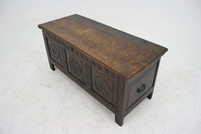 Early 19th Century Oak Coffer, Trunk In Good Condition In Vancouver, BC