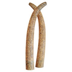 Impressive  hand  carved Bone Tusks