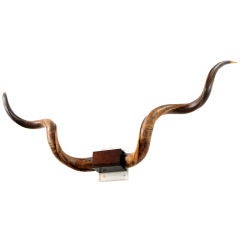 Lucite  mounted African Kudu horns.