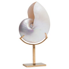 Large Nautilus Shell On Brass Stand