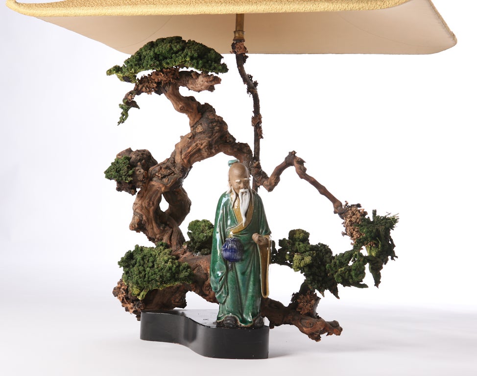 bonsai lamp