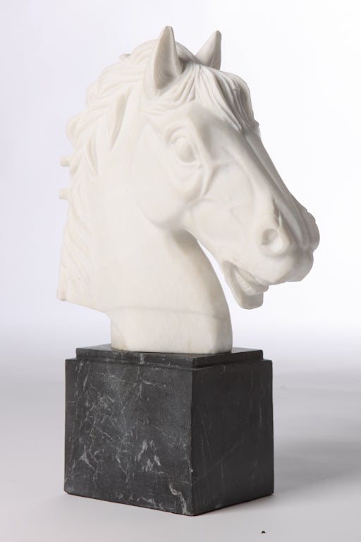 Beautifully carved white marble horse head sculpture on black stone base. Signed.